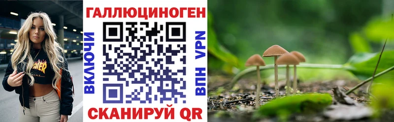 Галлюциногенные грибы Cubensis  купить  сайты  Одинцово 